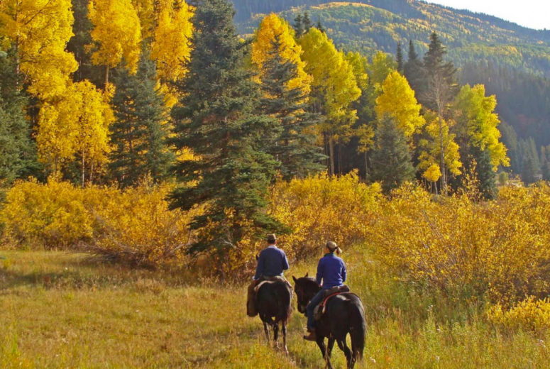 Fall riding at Dunton