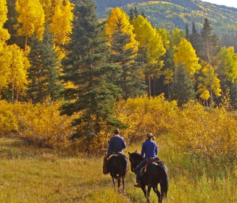 Fall riding at Dunton