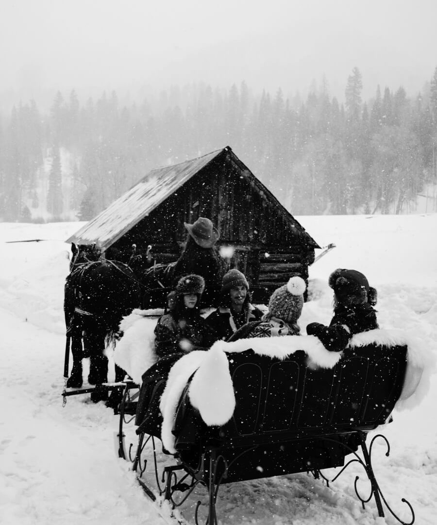 Guests on a horse drawn sled in the snow