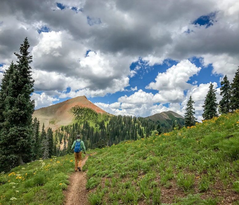Hiking at Dunton in Summer