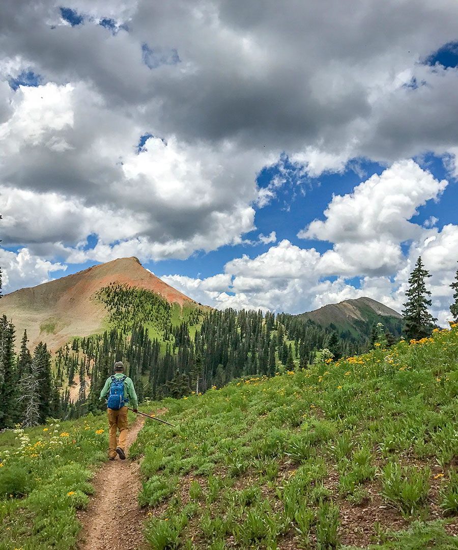 Hiking at Dunton in Summer