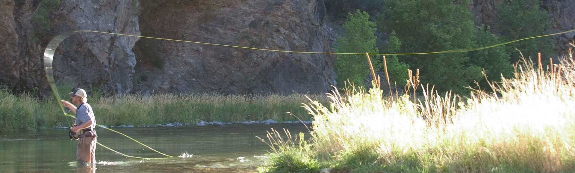 Fly fishing on the Dolores