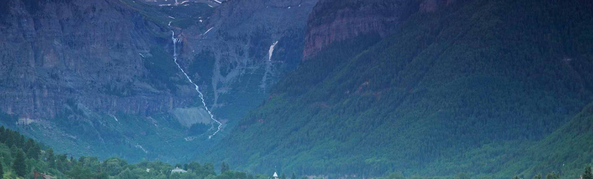 Telluride valley Elk