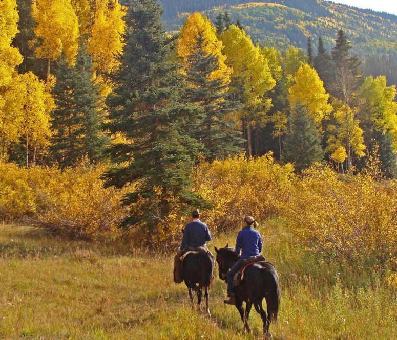 Riding at Dunton in fall